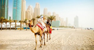 Ветеринарна клиника само за камили заработи в Дубай