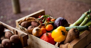 До 31-ви януари се кандидатства по схемите за обвързана подкрепа за плодове и зеленчуци
