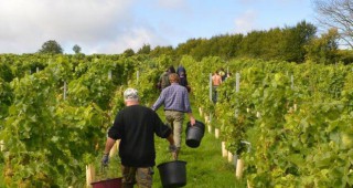 Първият трансграничен винарски регион със защитено географско наименование в ЕС вече е факт