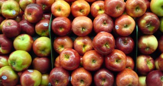 Македония иска по-свободен режим при износа на плодове и зеленчуци за България