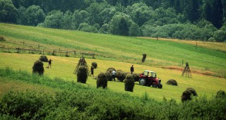 Единна позиция за бъдещето на Общата селскостопанска политика след 2020 година ще разработят Франция и Германия