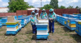 Данъчни разясняват на пчеларите в Монтана подробности по осигурителната кампания