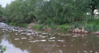 Експерти на МОСВ проверяват причините за замърсяването на река Мечка