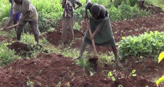 ЕС предприема нова инициатива за подкрепа на земеделието в Африка