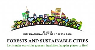 Международен ден на горите