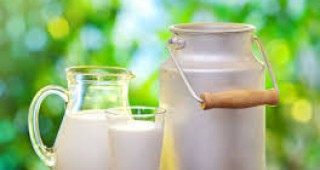 Русия спря вноса на млечни продукти от Беларус