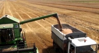 Очаква се по-малка зърнена реколта в ЕС