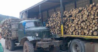 Системен нарушител, хванат в момент на транспортиране на незаконна дървесина в местност край Сливен
