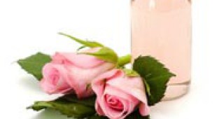 99 процента от българското розово масло се изнася