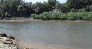 Басейнова дирекция - Плевен възложи тридневен мониторинг на водите на река Тимок при Брегово