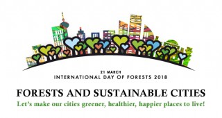 На 21 март отбелязваме Международния ден на горите