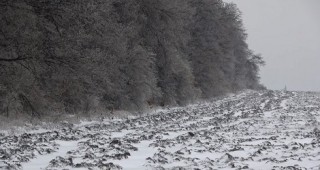 Добруджански фермери сигнализират за разораване на полски пътища