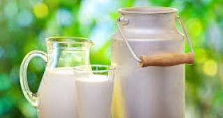 4% повече мляко, в сравнение с януари 2017-та, са доставили производителите в ЕС през първия месец на настоящата година