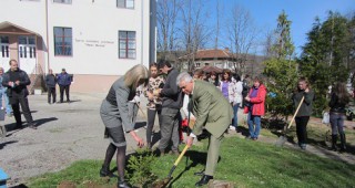 Залесиха фиданки по повод Седмица на гората в Берковица