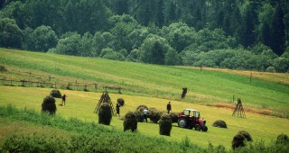 Търсенето на биопродукти в Швейцария продължава да расте