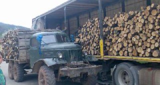 Горски инспектори от РДГ-Сливен задържаха незаконна дървесина в ПП Сините камъни