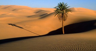 Създават енергиен оазис в пустинята