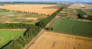МЗХГ подкрепя приемане на подходящи изменения и допълнения на Закона за собствеността и ползването на земеделските земи