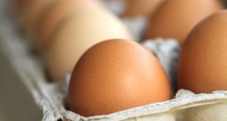 Няма нов скандал със замърсени с фипронил яйца