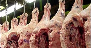 41 тона месо с изтекъл срок на годност бяха унищожени по нареждане на белгийския земеделски министър Дени Дюкарм