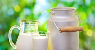 До 2030 г. производството на мляко ще нарасне с 35%