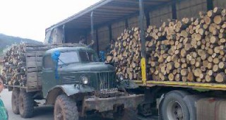 Горски инспектори от Сливен задържаха товарен автомобил с незаконна дървесина