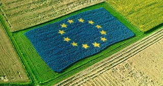 Остра критика и обвинения в двоен морал отправи френска организация на зърнопроизводители срещу EK