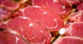 Германия стабилизира износа на свинско месо