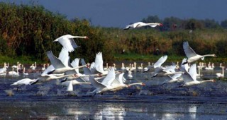 РИОСВ-Русе обяви два национални конкурса за биосферен парк Сребърна