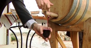 Най-доброто вино за 2009-та избират на празник в Асеновград