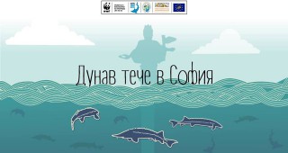 WWF представя: Дунав тече в София