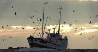 Забранява се риболова през 2010 г. във водни обекти на територията на цялата страна