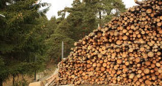 Нова горска техника и оборудване може да се закупят по подмярка 8.6 от ПРСР