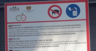Поставят се информационни табели, предупреждаващи за опасността от aфриканска чума по свинете