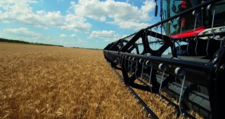 Почти е приключила жътвата на пшеница в община Болярово