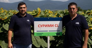 Рапул България представи хибриди слънчоглед