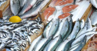 Рибната борса във Варна е отворена незаконно от 