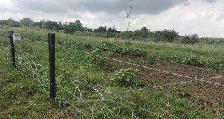 Изградени са 81 км от телената ограда срещу диви свине по сухоземната граница с Румъния