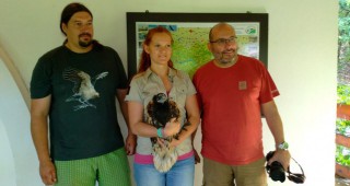 Млади египетски лешояди от eвропейски зоопаркове ще бъдат освободени в България чрез метода на изкуственото гнездо