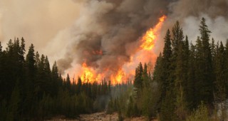 Евакуирани са почти 7 000 сгради заради горски пожари в Британска Колумбия