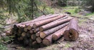 Служители на ИАГ задържаха 3 буса и 5 куб. м. незаконни дърва във Врачанско