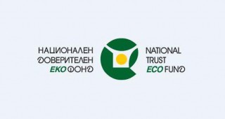 НДЕФ отправи нова покана за покупка на електромобили