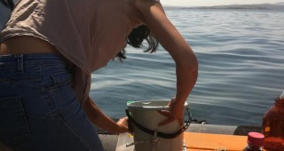 Взети са нови проби от морската вода край Созопол