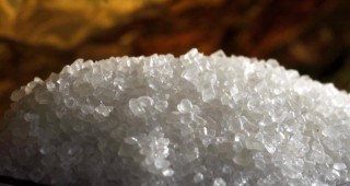 Средните цени на бялата кристална захар на едро и на дребно остават без промяна