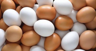 Спокоен пазар на яйца в страната