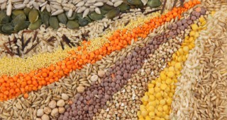 МЗХГ иска спирането на процедура по приватизация на търговското дружество Сортови семена – Елит ЕАД