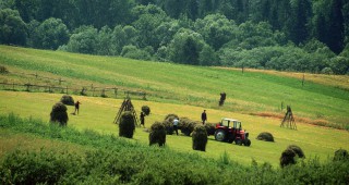 С близо 6 % са се увеличили доходите на фермерите в Швейцария през миналата година