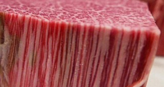 Япония започна да внася в Австралия говеждо месо от породата Вагю