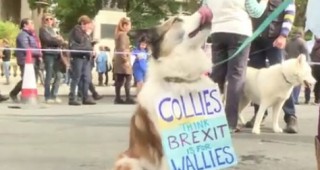 Стотици британци с повече от хиляда кучета излязоха на протест в Лондон
