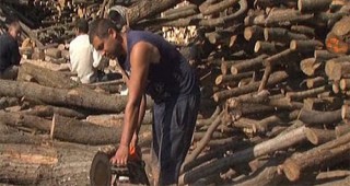 Близо 108 000 кубически метра дърва за огрев закупиха домакинствата от ЮДЗП - Благоевград